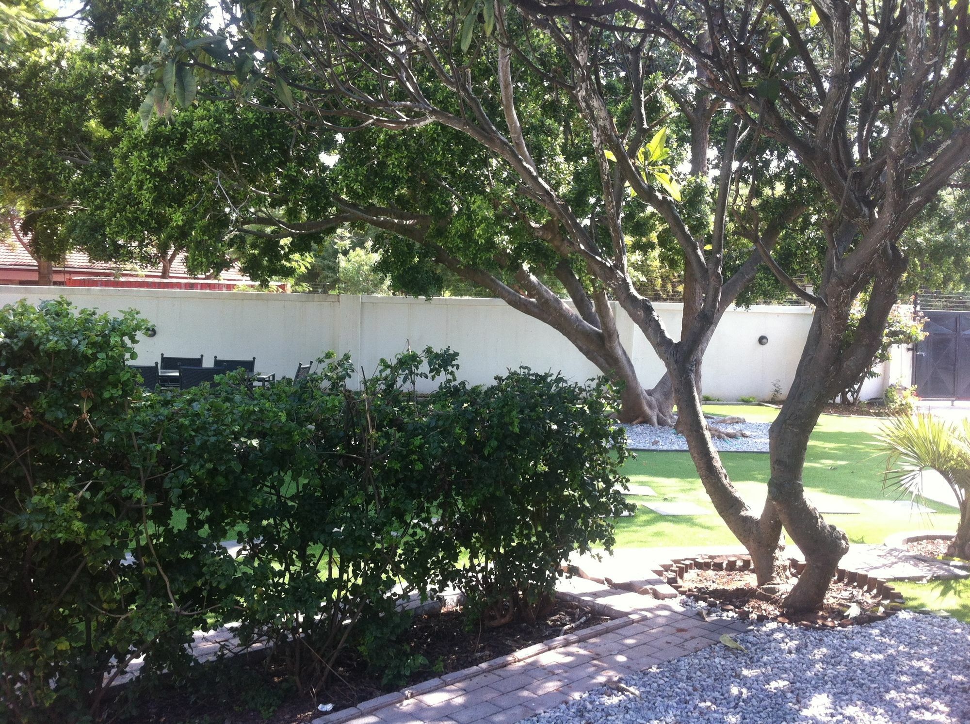 Cosy Palms Bed & Breakfast Gaborone Exterior photo